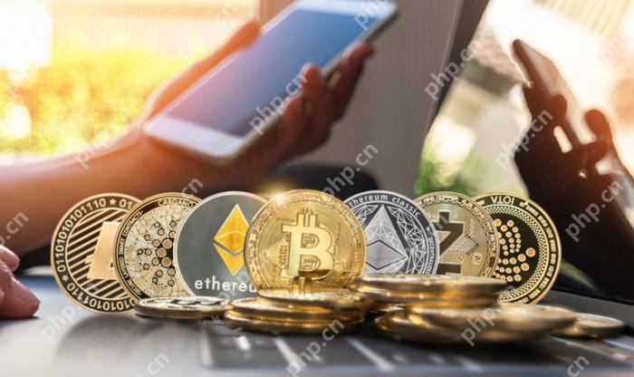 欧易和币安安装下载全教程分享