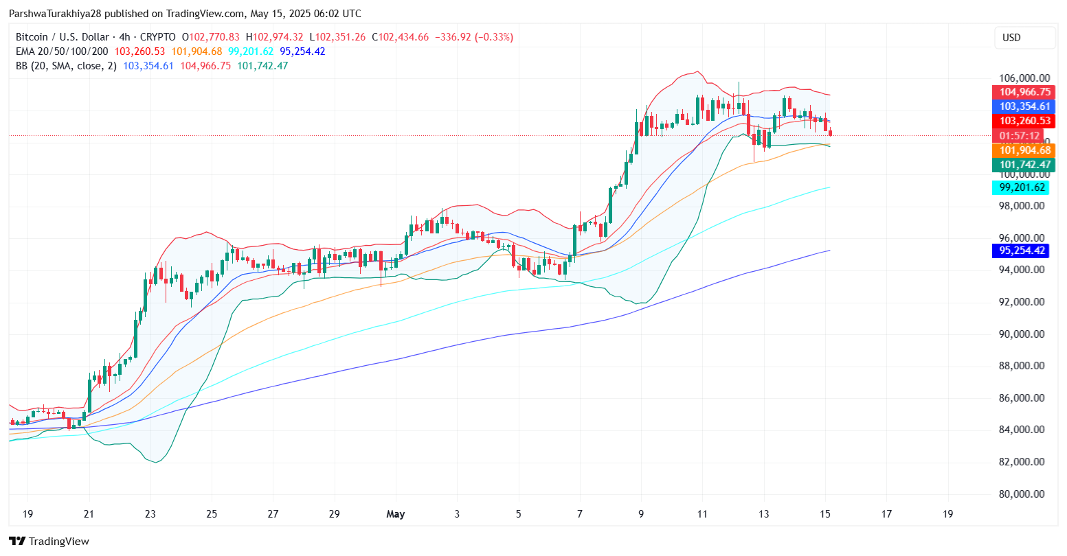 2025年5月比特币价格预测:BTC能否突破10万?未来六个月价格怎么走?