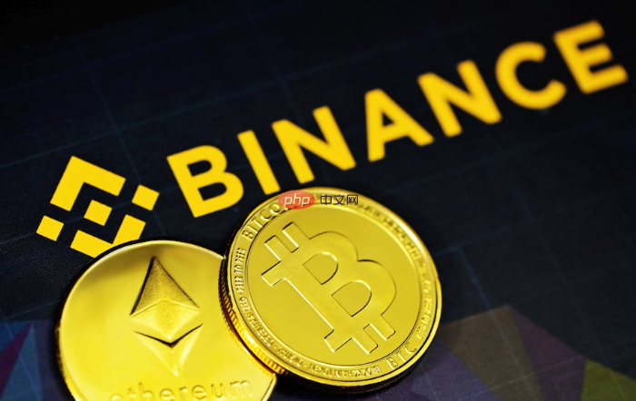 币安官方网站入口app