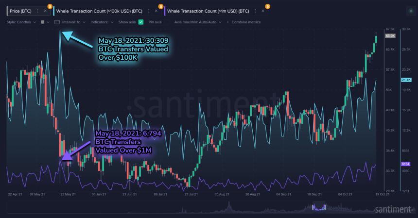 分析平台 Santiment：柴犬币因鲸鱼活动增加可能迎来价格反弹