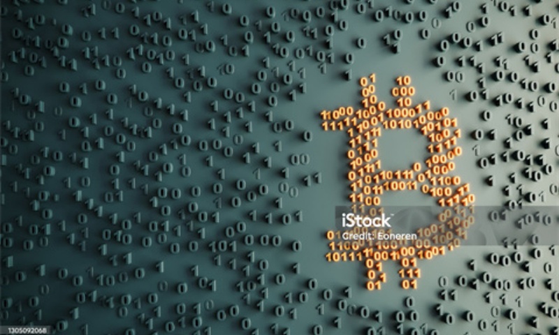 MINA是什么币?MINA币的未来前景与投资价值