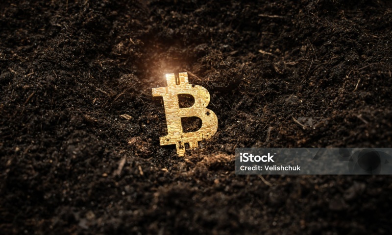 Bitfinex订单类型有哪些?订单策略与使用场景分析