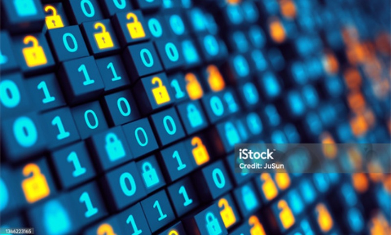 TERN币项目分析:TERN币官网及交易所全面介绍