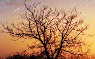 特朗普呼吁对欧盟征收50%关税，比特币短暂跌破10.9万美元后迅速反弹