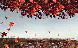 如何在加密交易平台进行快速转换？流动性最强的平台推荐