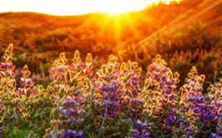 财政加力促消费在内的新增量政策或将很快出台｜宏观晚6点