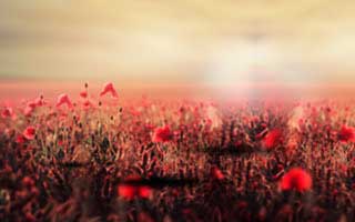 加密货币市场的多空力量对比如何影响市场走向？