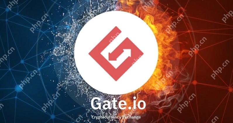 gate.io大门交易所 全球安全可靠的数字货币交易所