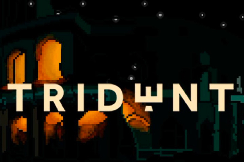 泰达币是主流币吗 泰达币是主流币吗