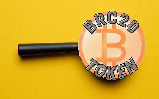 柚子币还有翻身可能吗 柚子币还有翻身可能吗