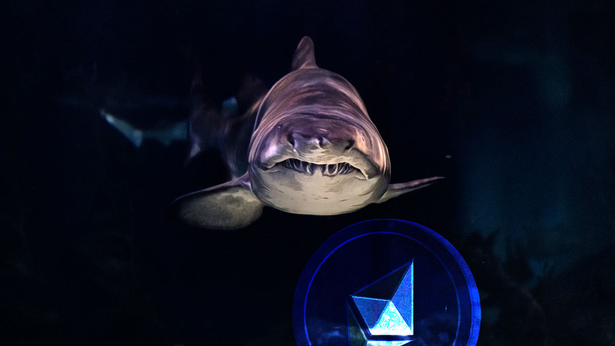 怎么买akita币 怎么买akita币