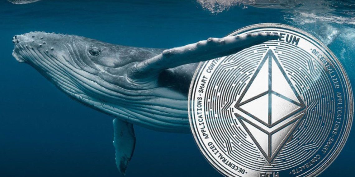 USDT溢价原因解析 | 美元稳定币市场套利机会追踪
