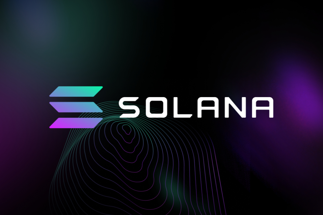 花了多少比特币买披萨 花了多少比特币买披萨