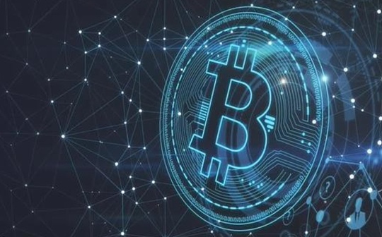 牛市中后期如何操作