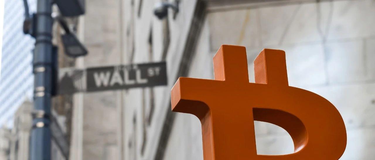 为什么山寨币不能碰