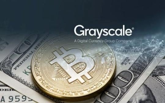 dot币有投资价值吗 | dot币投资潜力分析与风险评估