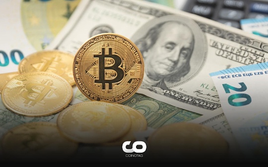 波场币怎么赚钱 波场币怎么赚钱