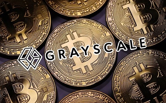 币圈新项目都在哪里找