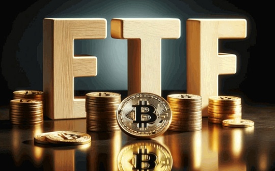 币圈是怎么回事