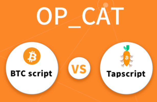 比特币买一百的话能赚多少 比特币买一百的话能赚多少