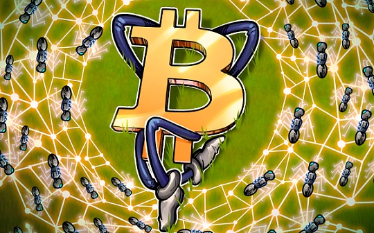 空投币有到账过的吗