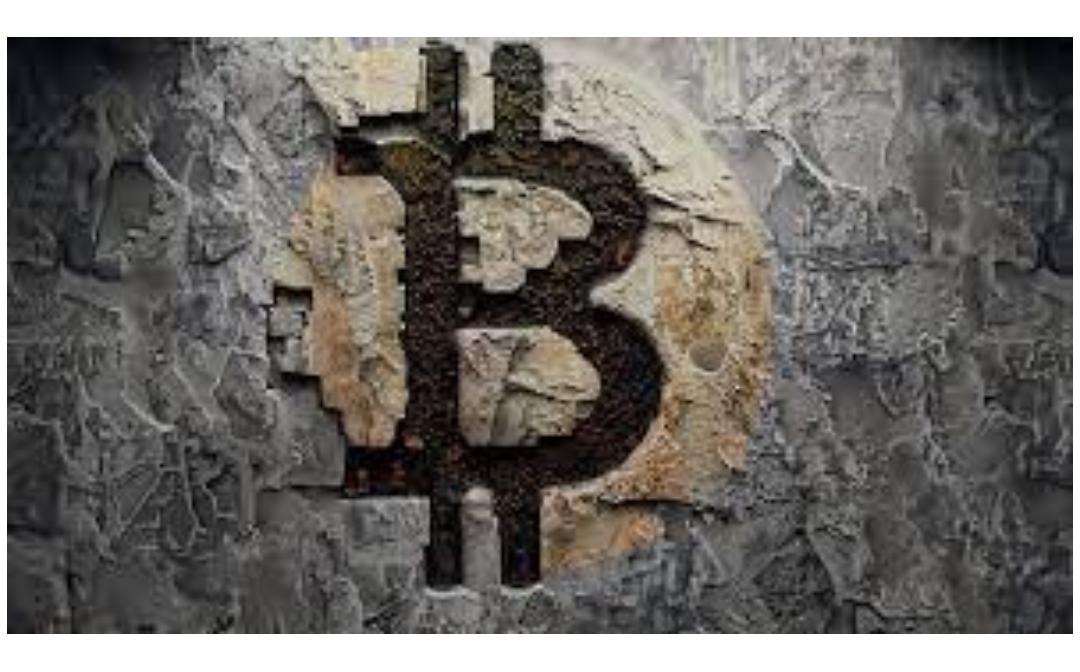 以太坊的代币有哪些