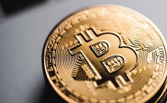 tp钱包可以转哪些币