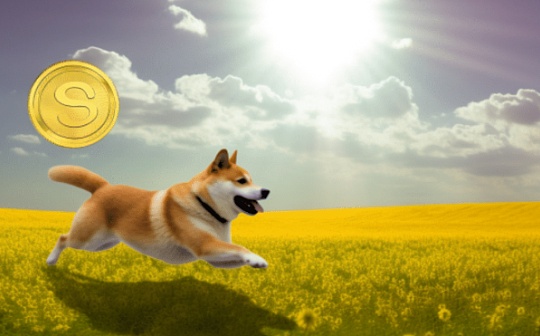 龙胶囊NFT投资价值探析 | NFT市场潜力与风险评估
