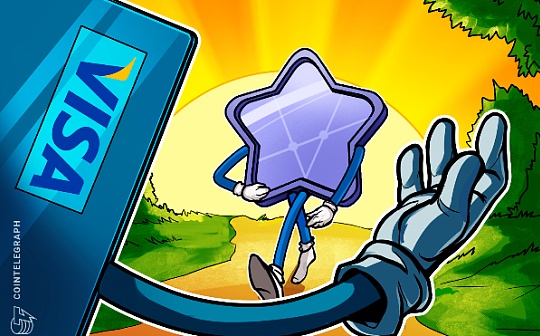 山寨币能活多久